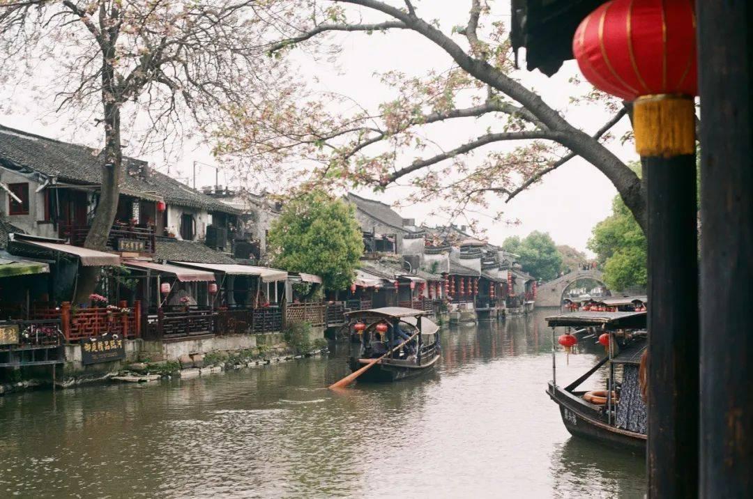 奔跑的兔子